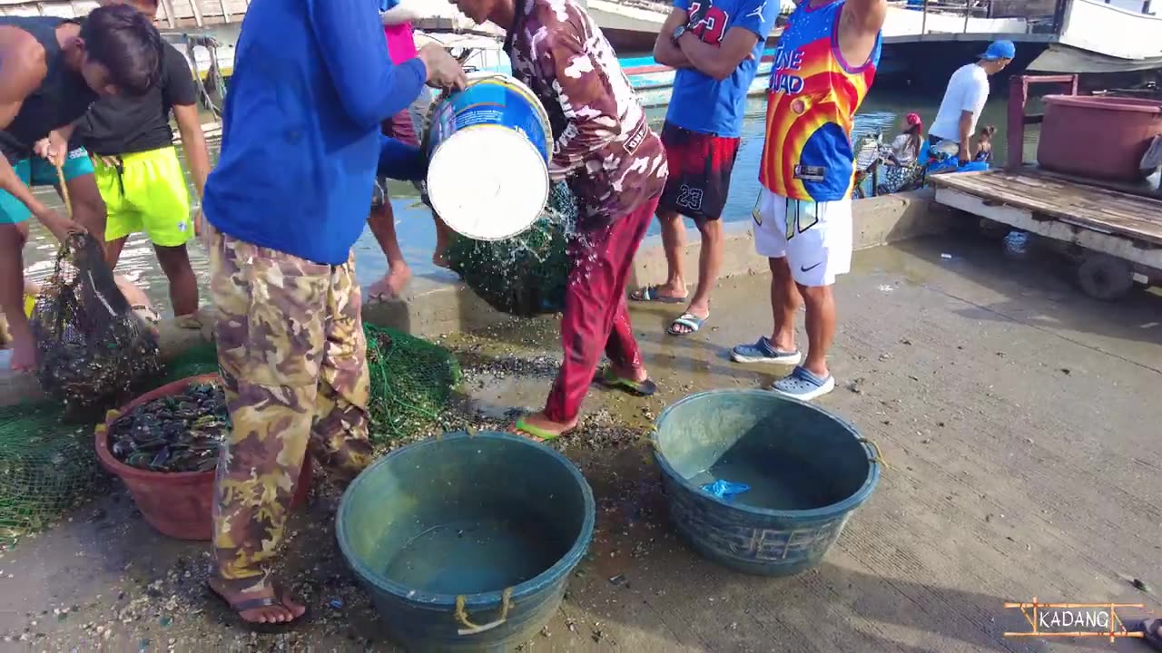 largest-fish-market-in-the-philippines-navotas-fish-port-complex