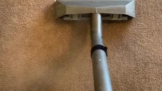 Carpet cleaning in Boise Idaho