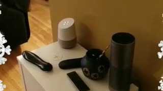 Google Doesn't Like Alexa