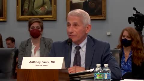 WATCH: Fauci Squirms When Confronted with Lockdown Stats