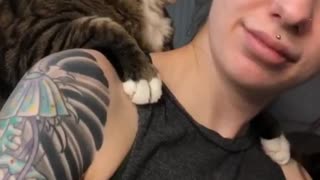 This cat really loves to give hugs