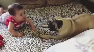 Happy baby sends doggy into howling fit