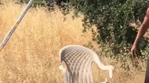 Crazed Man Finds And Fights His Heart Out Against Broken Lawn Chair
