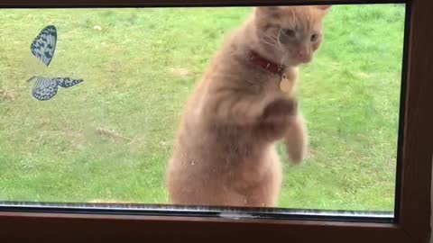 Please! Let me in!