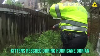 Police Officers rescue two kittens during Hurricane Dorian