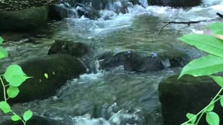 Widows Creek, Stone Mountain, NC state park