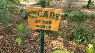 Mead Botanical Gardens Winter Park Orlando
