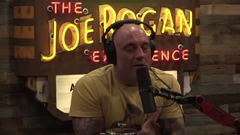 Joe on the Video of Mike Tyson Being Harassed on a Plane - Joe Rogan Experience