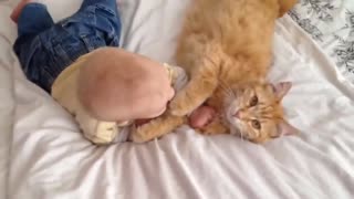 Cats Meeting Babies for the FIRST Time (New)