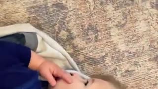funniest cute puppy dog playing with little
