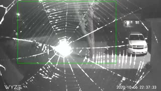 Time-Lapse of Spider Building a Web