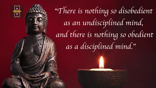 Peace and Powerful Buddha Quotes