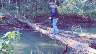 Walking Over a Fallen Tree to Cross the River