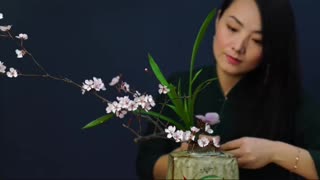 Traditional Chinese Flower Arrangement/Flower Art/relaxing 2