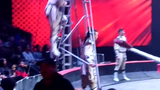 Circus Entertainer Flying High