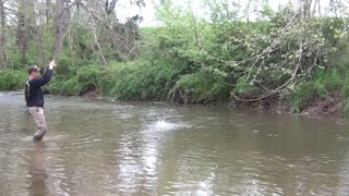 Fly Fishing Little Conestoga Creek 2016