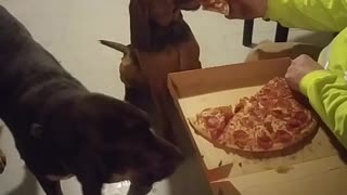 Jake and pizza