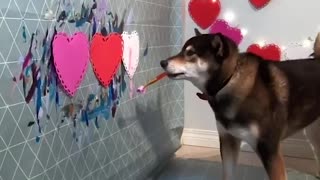 Doggo is an Expert Painter