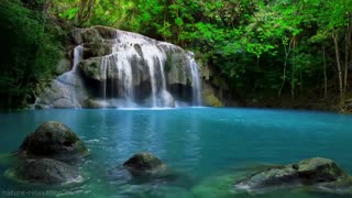 Waterfall Jungle Sounds Relaxing Rain forest Nature Sound