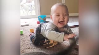 Fun with Cats and Babies