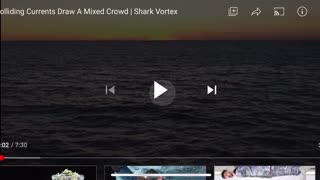 Sharks are Alpha