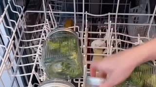 Dishwasher veggies