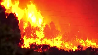 Hundreds of firefighters battle blaze near Lisbon