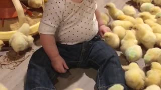 Chicks Chirp for Cute Kid