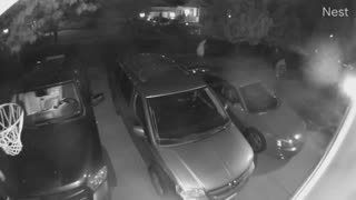 Thief Chose Wrong Car