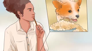 How to take care of your Chihuahua