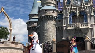 Disney World Castle Show