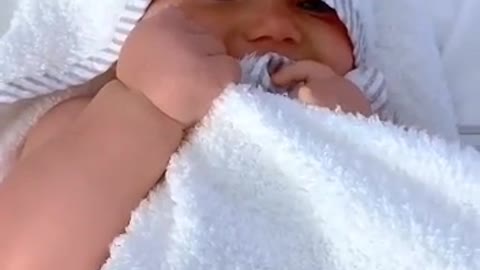 Beautiful small baby lapping