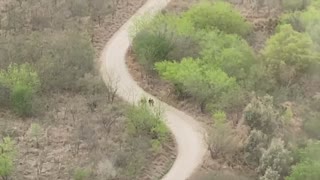 GOP Senator Takes Video of Illegal Immigrants Crossing the Border from Helicopter