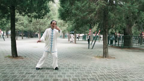 An old Chinese man practicing Tai Chi
