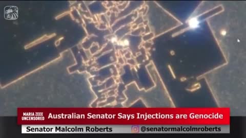Australian Senator Covid-19 Injections are Genocide