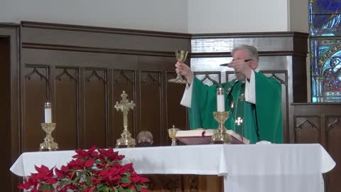 7th Sunday in ordinary time - Mass