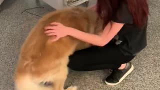 Mom Finally Reunited with Fur Babies