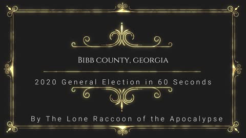 Bibb County Georgia 2020 Election in Sixty Seconds