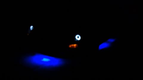 2003 Mitsubishi Eclipse GS Turbo Street Glow LED Neon Kit