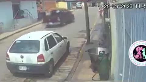 Hombre lanzó un perro en aceite caliente, en México