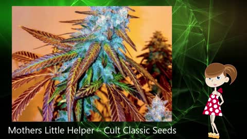 Mothers Day Cannabis Strains