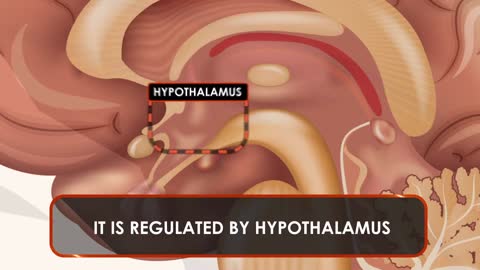 HYPOTHYROIDISM – Underactive Thyroid