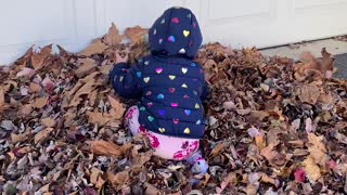 Happy Twins Play In Leaf Pile