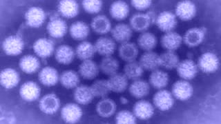 Deciphering the Viral World - Sars Coronavirus Documentary