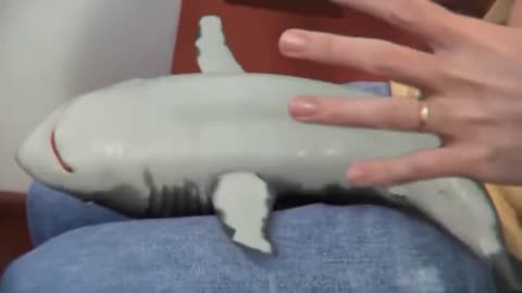 2021 Cutest Shark Baby Happy