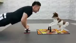 Puppy doing his exercises
