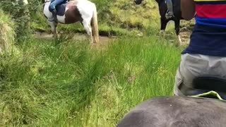 Horse riding at lake District
