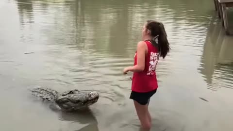 Woman vs crocodile