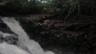 Belly Flop Over Waterfall