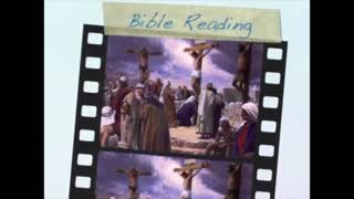 November 29th Bible Readings